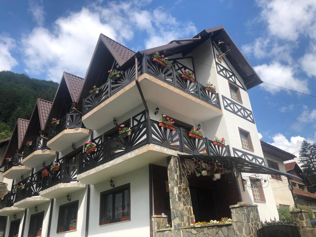 Casa Albert Sinaia Hotel Exterior photo