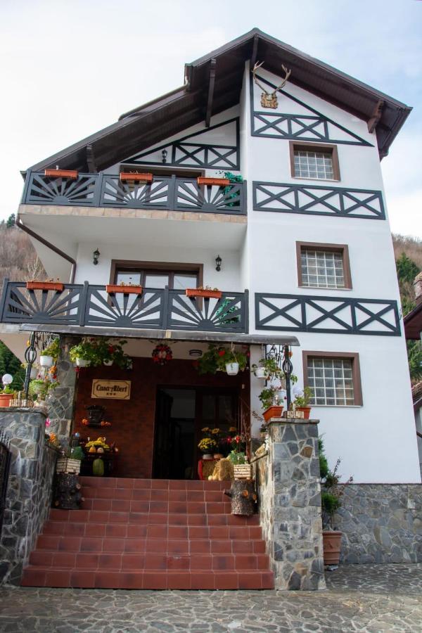 Casa Albert Sinaia Exterior photo